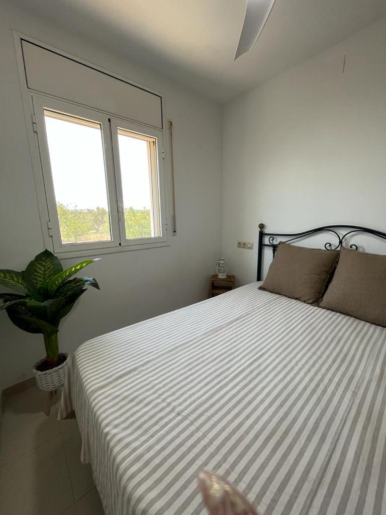 Apartmán Fantastico Duplex Con Piscina -4 Personas- L'Ampolla Exteriér fotografie